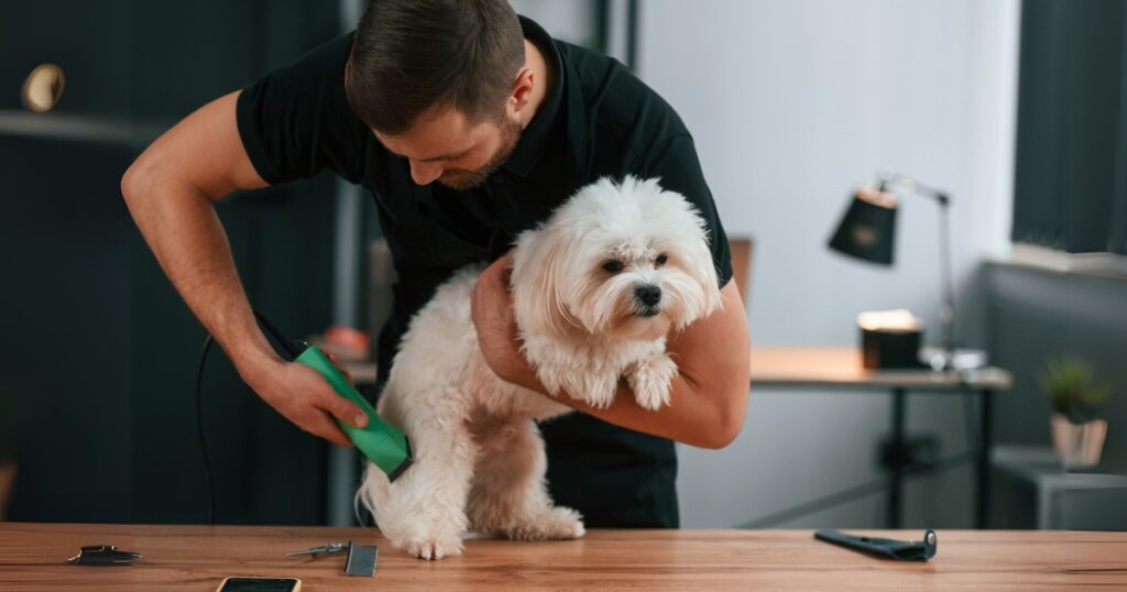 Personalized Customer Experiences