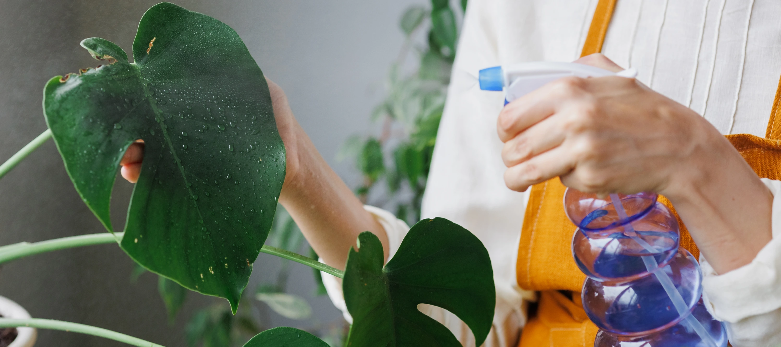 A person doing Eco Freindly cleaning