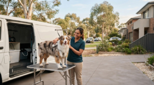 Mobile Pet Grooming Near Me: A Melbourne Guide to Choosing with Confidence